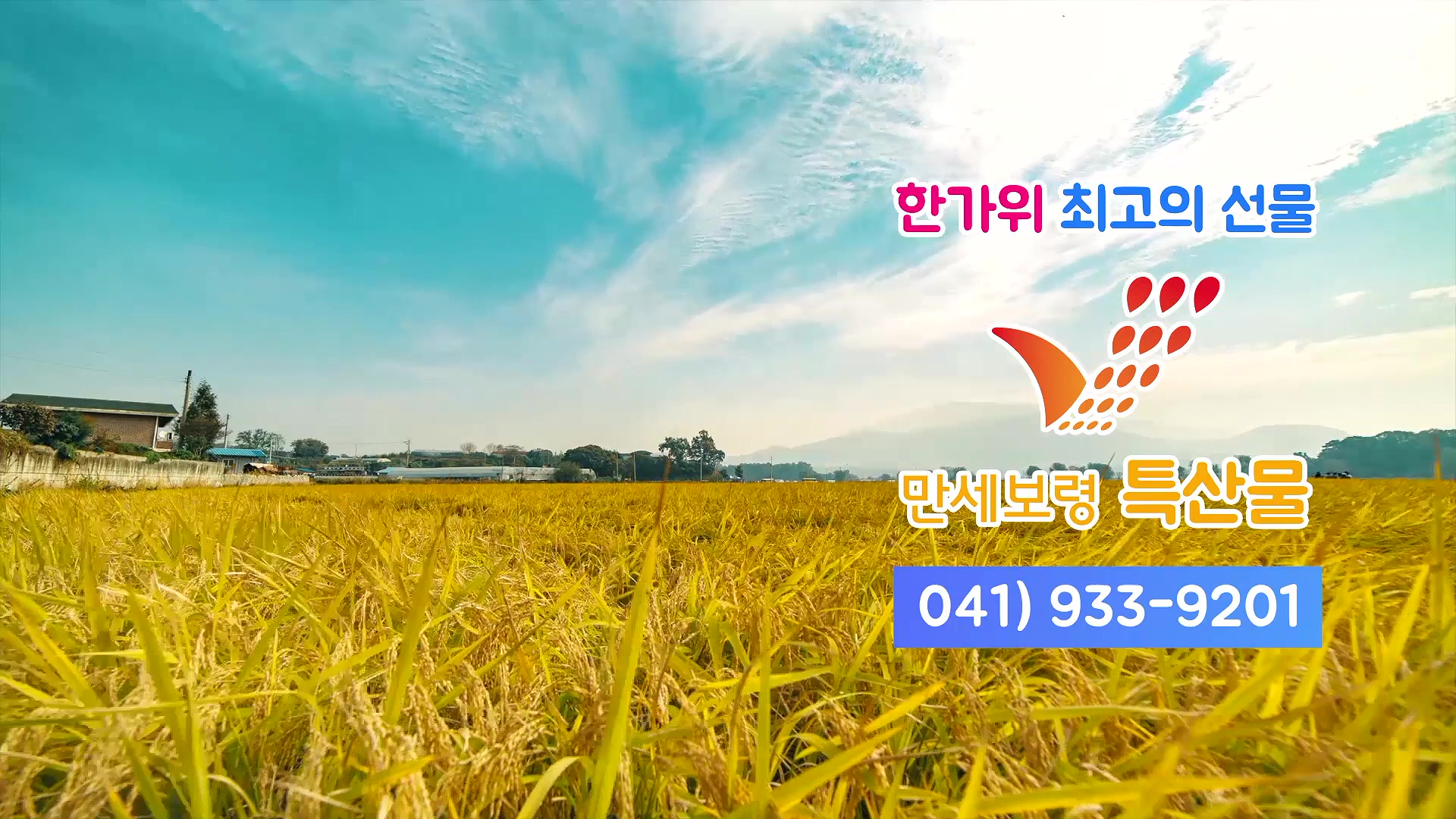 한가위 최고의 선물 '만세보령특산물'